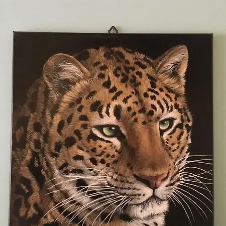 Il Leopardo Feriehus Rom