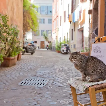 Il Leopardo