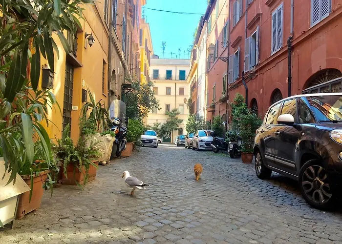 Il Leopardo 펜션 *