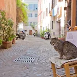 Il Leopardo